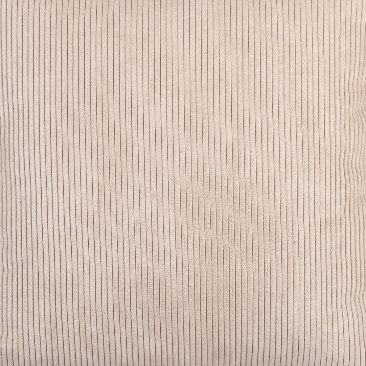 Almofada BELLUS 50x50 Veludo Bege Bombazine