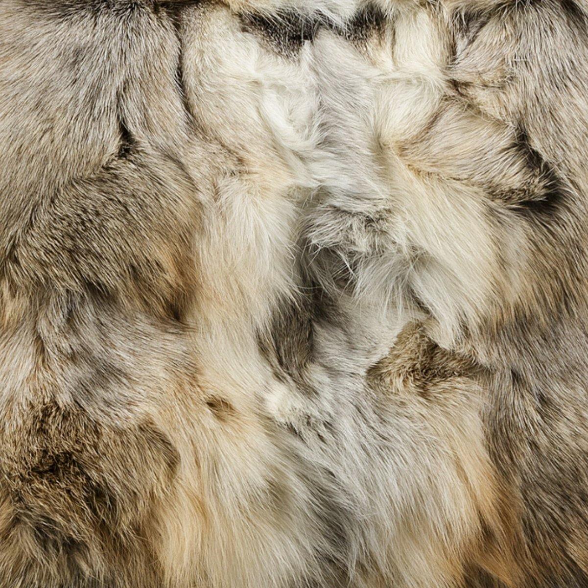 Almofada DINJA 40x40 Pêlo Raposa - KUXIN // Home Fashion