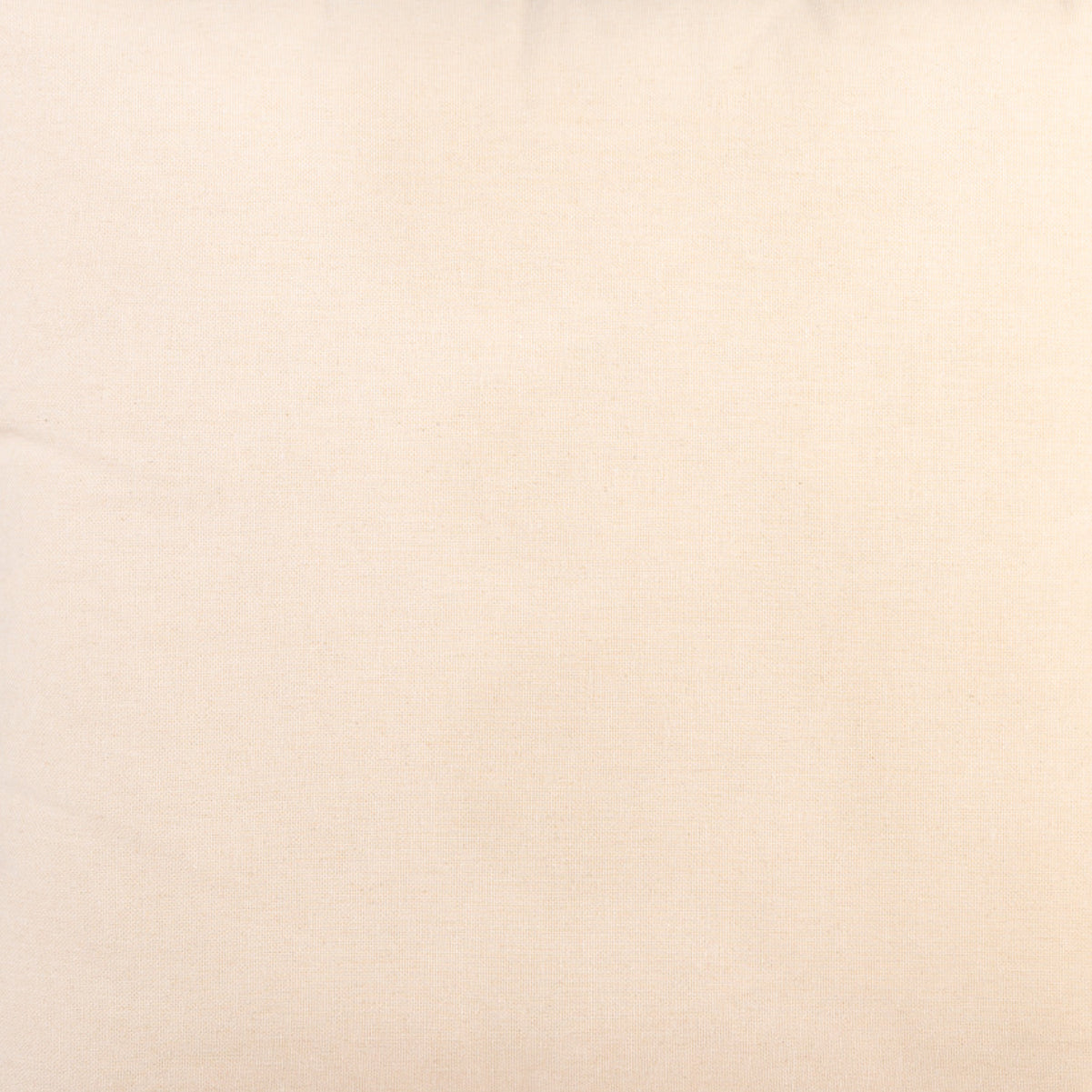 Cushion DINJA 45x45 Recycled Raw Beige