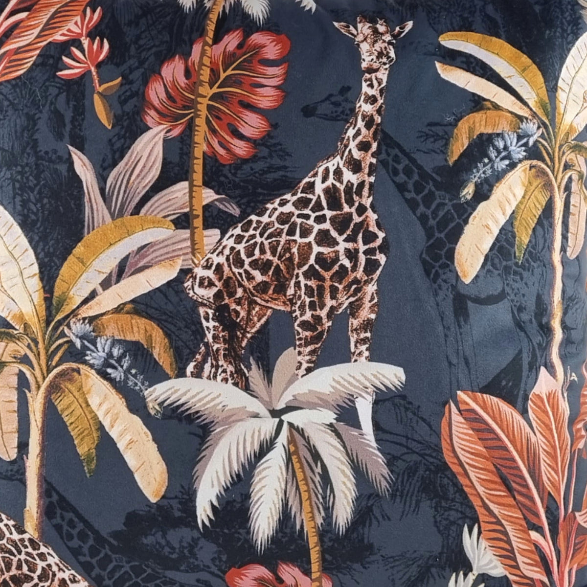 Almofada DINJA 45x45 Veludo Preto Safari com Vivo Terracota